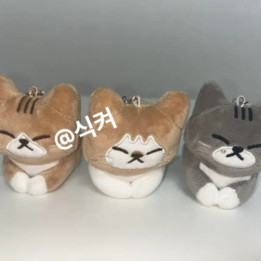 [BUNJANG] Enhypen Bundle Set / 순둥도리 일괄양도