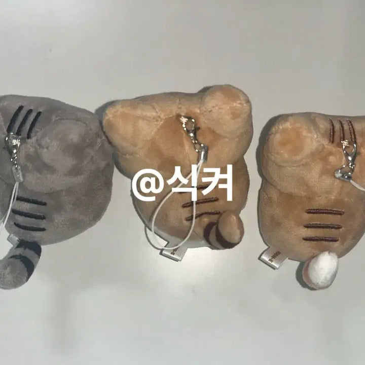 [BUNJANG] Enhypen Bundle Set / 순둥도리 일괄양도