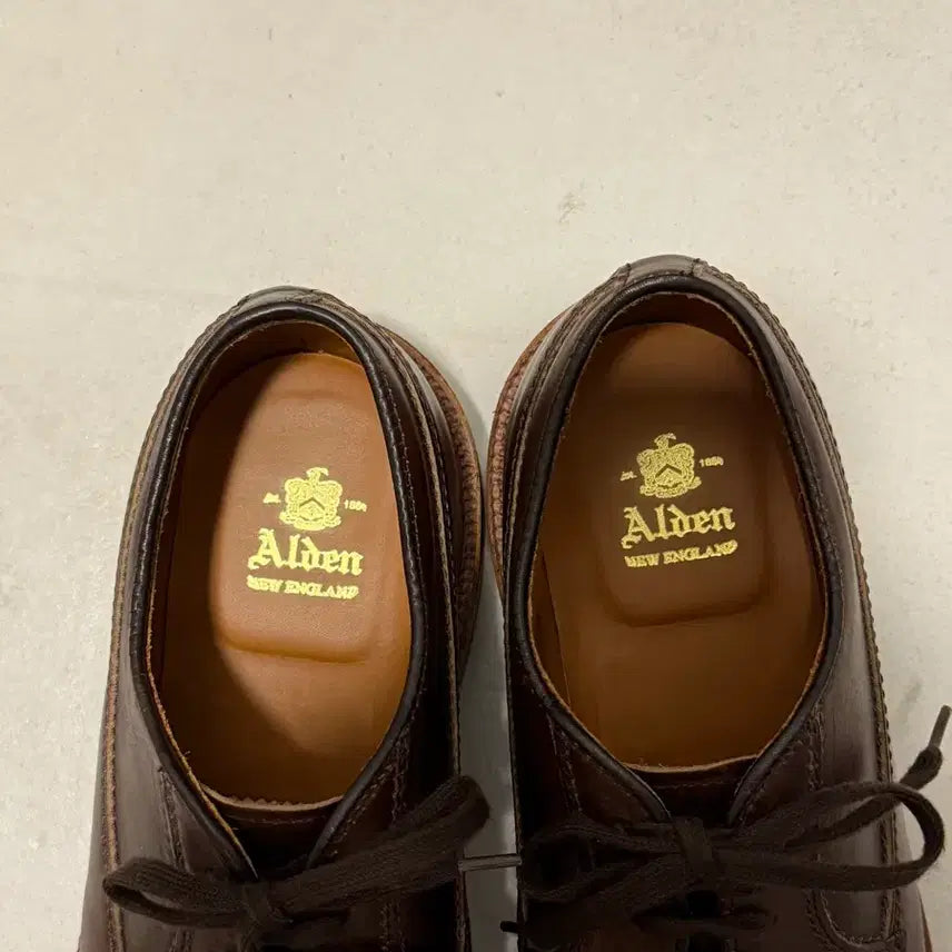 [BUNJANG] Alden A3609 Chrome Excel Ranger Moc Derby / 알든 a3609 크롬악셀 레인저 목 더비