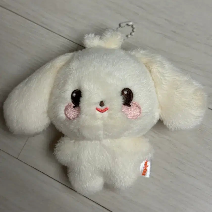 에이티즈 애니티즈 타이니 헷몽이 원가 양도