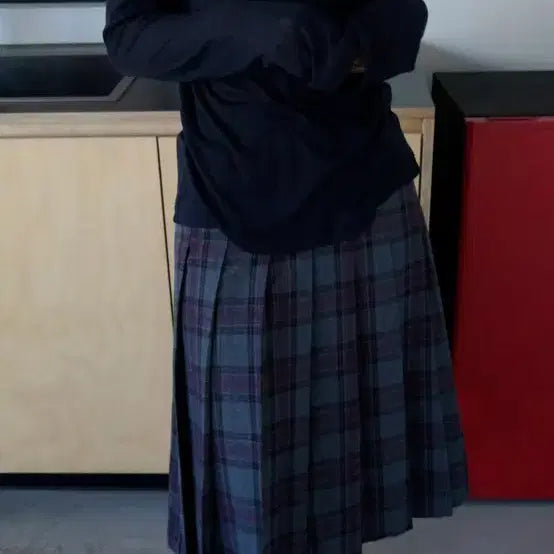 [BUNJANG] ERR Pleats Check Skirt / 이알알 플리츠 체크스커트