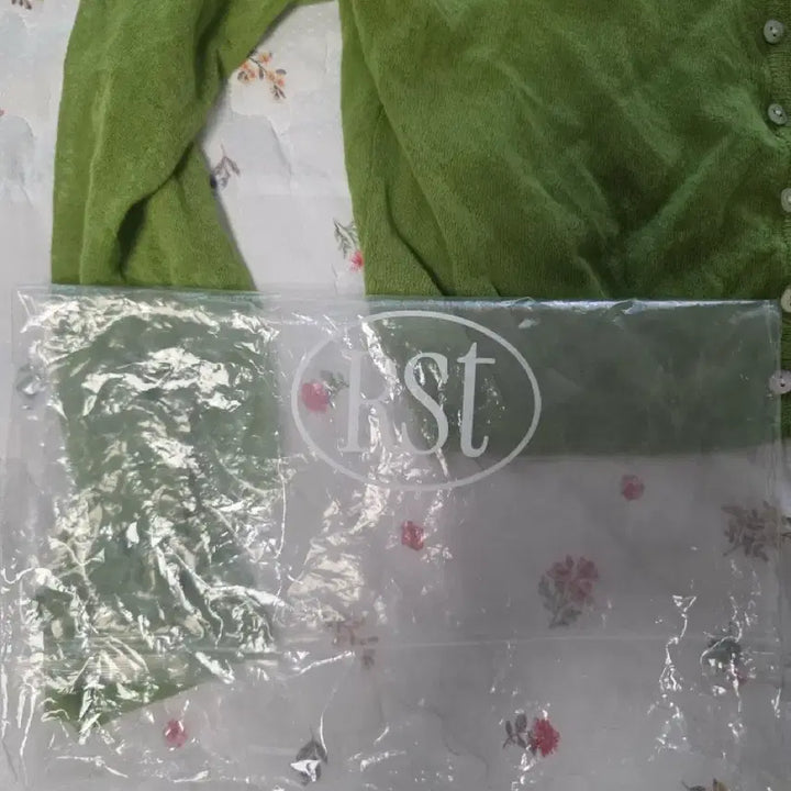 [BUNJANG] The Last Sheer Cardigan &amp; Sleeveless - Apple Green / 더라우스트 시스루 가디건&amp;슬리브리스 APPLE GREEN