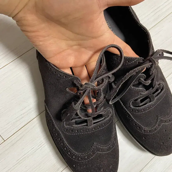 [SOLD OUT] 보테가베네타 다크브라운 스웨이드 윙팁 구두 260사이즈