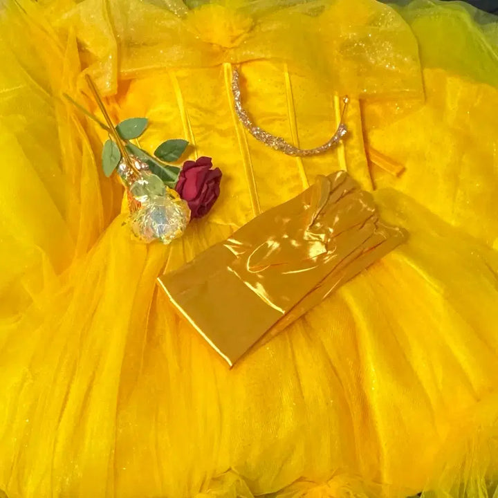 [BUNJANG] Disney Belle Dress Rental for Graduation Photoshoot (Basic) / (리뷰할인중!) 디즈니 벨 드레스 졸업사진 대여 졸사 공주 / B(기본)
