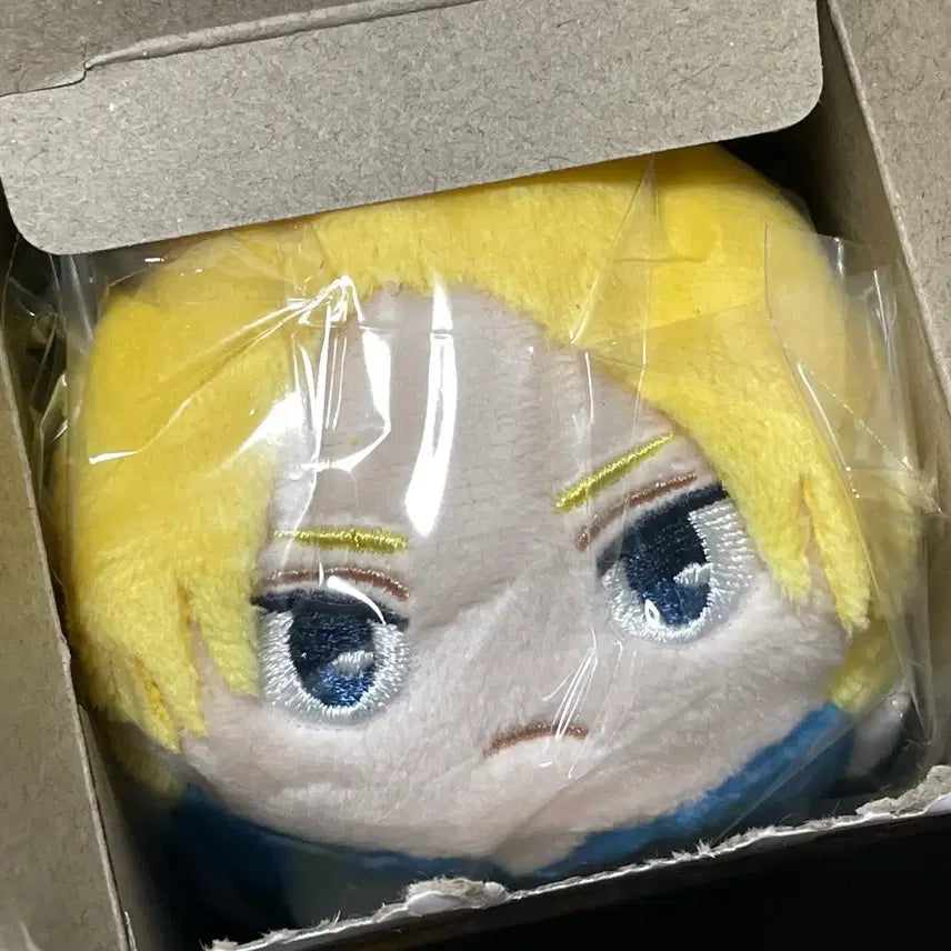 [BUNJANG] Sakura Days Asakura Shin Nui Doll (Sealed) / 사카모토 데이즈 아사쿠라 신 누이 미개봉 양도