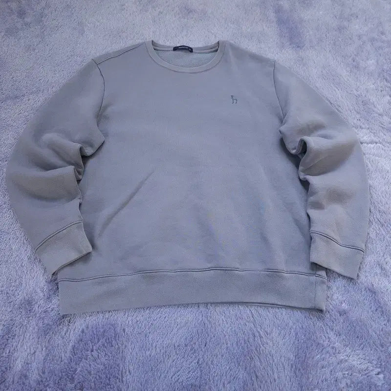 [BUNJANG] Hazzys Men's Sweatshirt 110 / [110] 헤지스 맨투맨