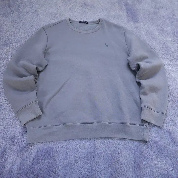 [BUNJANG] Hazzys Men's Sweatshirt 110 / [110] 헤지스 맨투맨