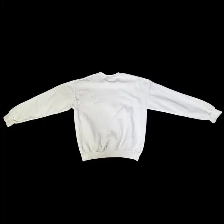 [BUNJANG] Galfield Michael Jordan Sweatshirt / 빈티지 가필드 Galfield 마이클조던 맨투맨 M