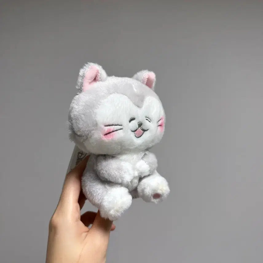 [BUNJANG] Disney Cat Plush Keychain / 도쿄 디즈니 고양이 인형 키링