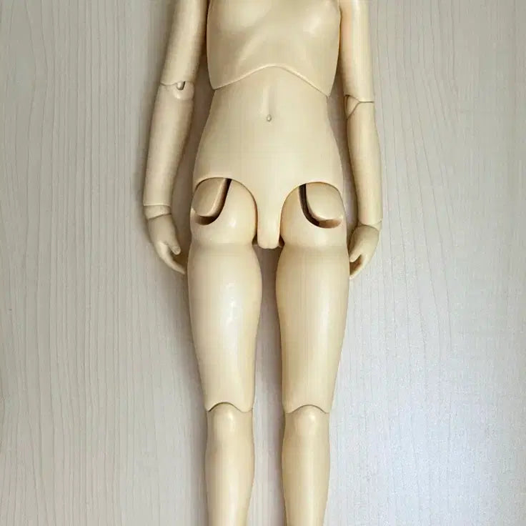 [BUNJANG] Volks SD9 Swari-cco Girl Body / 보크스 SD9세 스와릿꼬 여아 바디