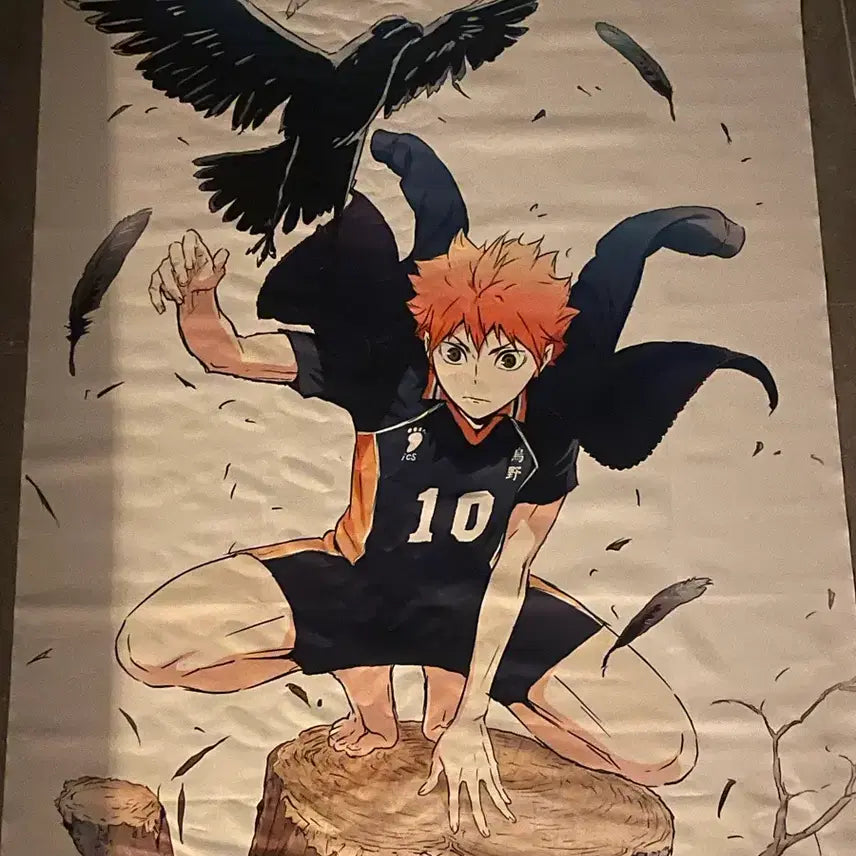 [BUNJANG] Haikyuu Hinata Shoyo Wall Poster / 하이큐 히나타 쇼요 브로마이드