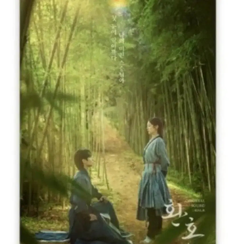 [BUNJANG] Alchemy of Souls Poster / 환혼 1 포스터