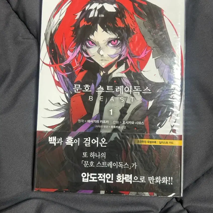 [BUNJANG] Bungo Stray Dogs Beast Volume 1 First Edition / 문호스트레이독스 beast 1권 초판