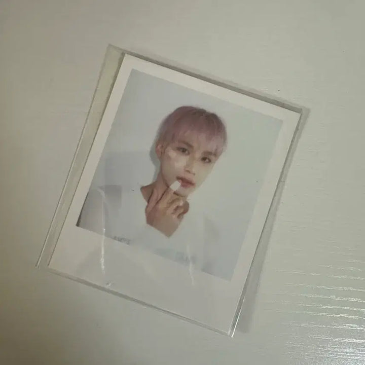 엔시티 127 2025 시즌그리팅 시그 폴라로이드 폴라 정우