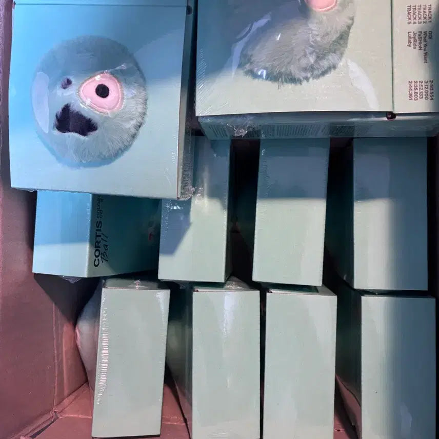 코르티스 볼 CORTIS Ball 키링 앨범