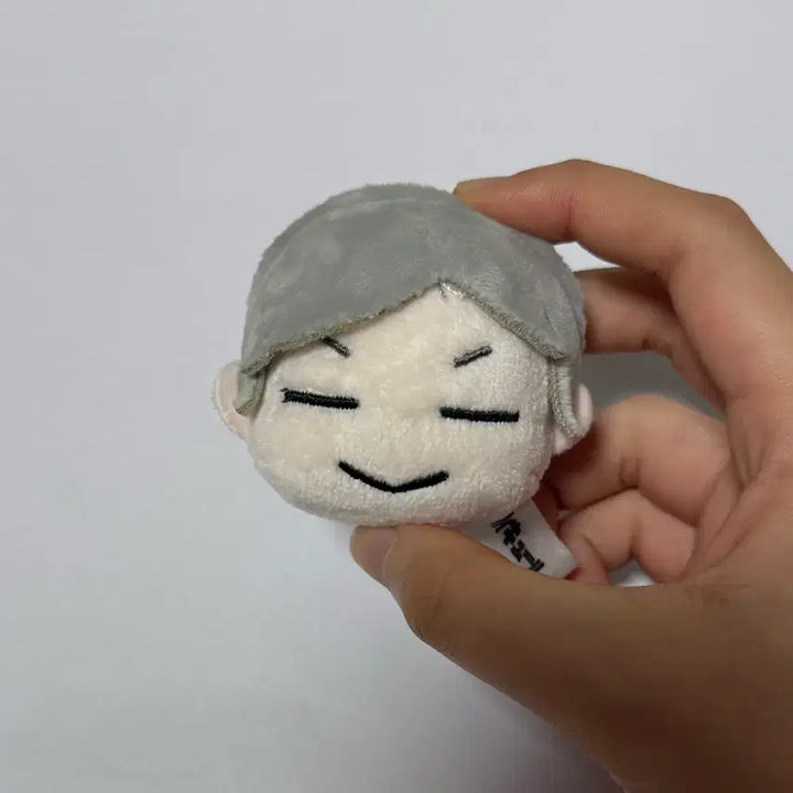 [BUNJANG] Haikyuu!! Haiba Lev Plush Keychain / 하이큐 하이바 리에프 인형 키링