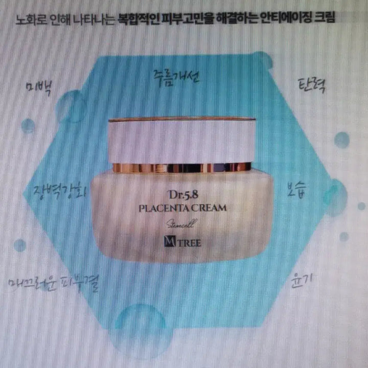 [BUNJANG] MTree Dr.5.8 Placenta Cream / 폐업급처분 양태반 단백질영양크림 엠트리Dr5.8플라센터크림