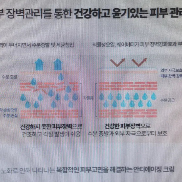 [BUNJANG] MTree Dr.5.8 Placenta Cream / 폐업급처분 양태반 단백질영양크림 엠트리Dr5.8플라센터크림
