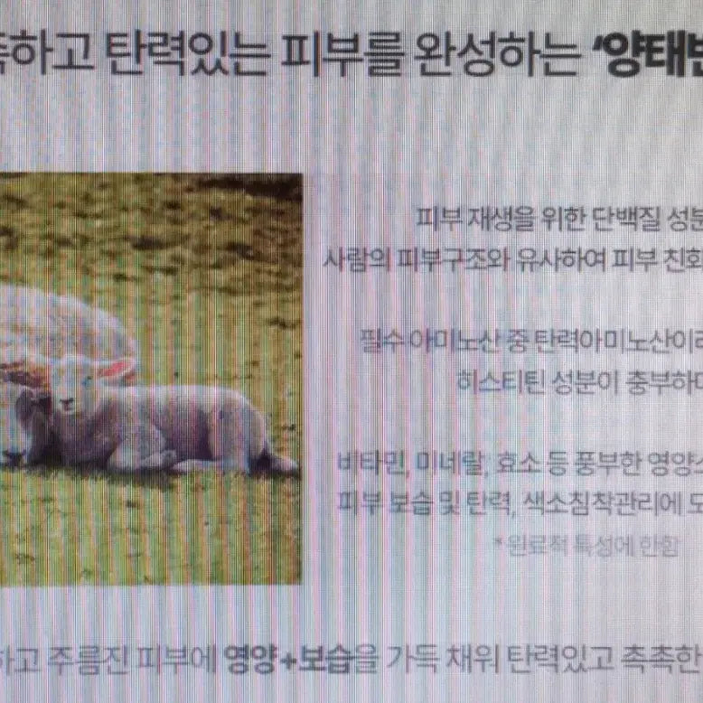 [BUNJANG] MTree Dr.5.8 Placenta Cream / 폐업급처분 양태반 단백질영양크림 엠트리Dr5.8플라센터크림