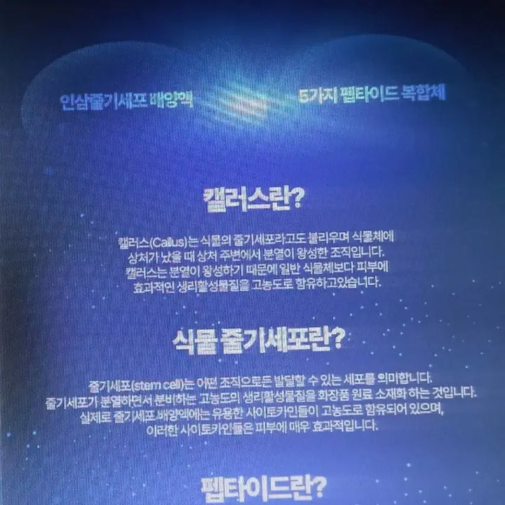 [BUNJANG] MTree Dr.5.8 Placenta Cream / 폐업급처분 양태반 단백질영양크림 엠트리Dr5.8플라센터크림