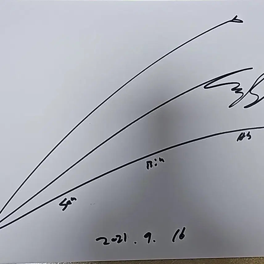 [BUNJANG] 손빈아 친필 종이 싸인 / 손빈아 친필 종이 싸인