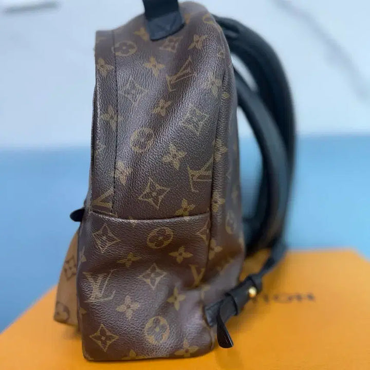 [BUNJANG] Louis Vuitton Palm Springs Backpack / 루이비통 팜스프링 백팩