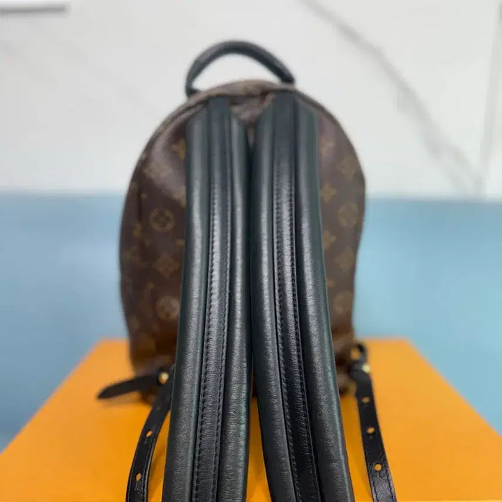 [BUNJANG] Louis Vuitton Palm Springs Backpack / 루이비통 팜스프링 백팩