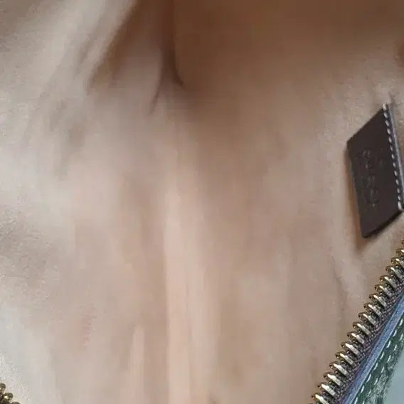 [BUNJANG] Gucci Ophidia Clutch Bag / 구찌 오피디아 클러치/클러치백 새상품급 정품(감정O)