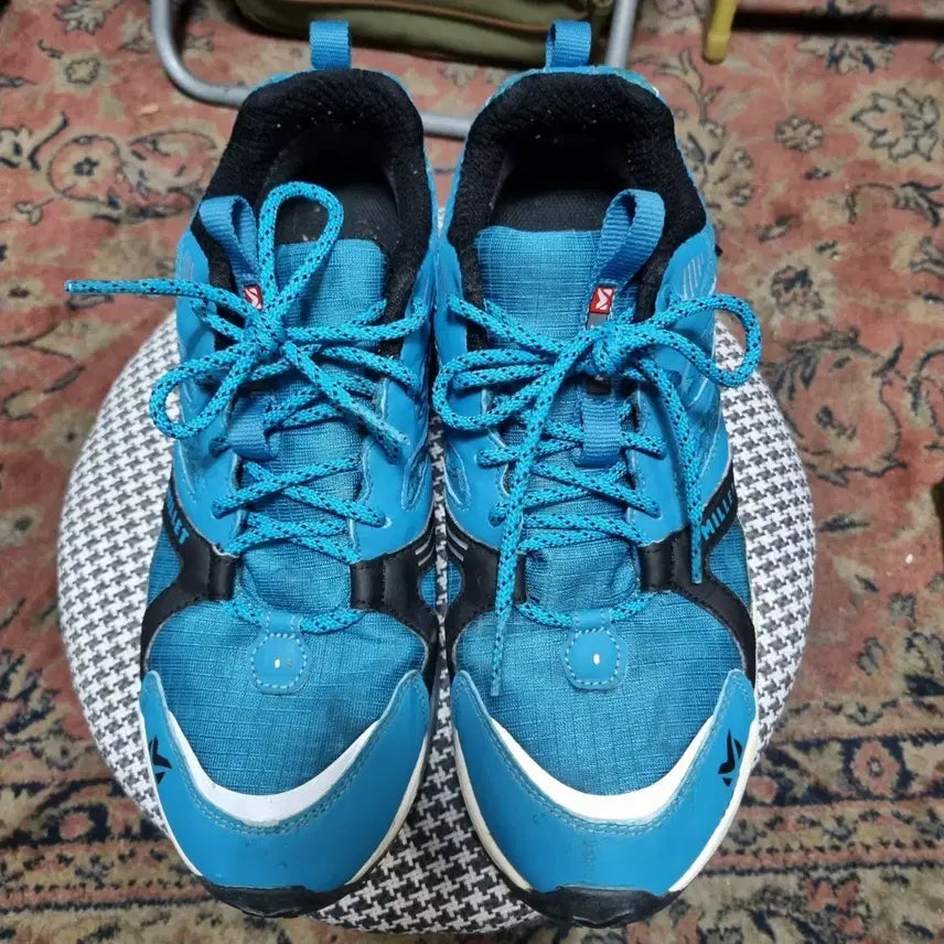 [BUNJANG] Millet Gore-Tex Hiking Shoes / 밀레 고어텍스 트레킹화겸 등산운동화