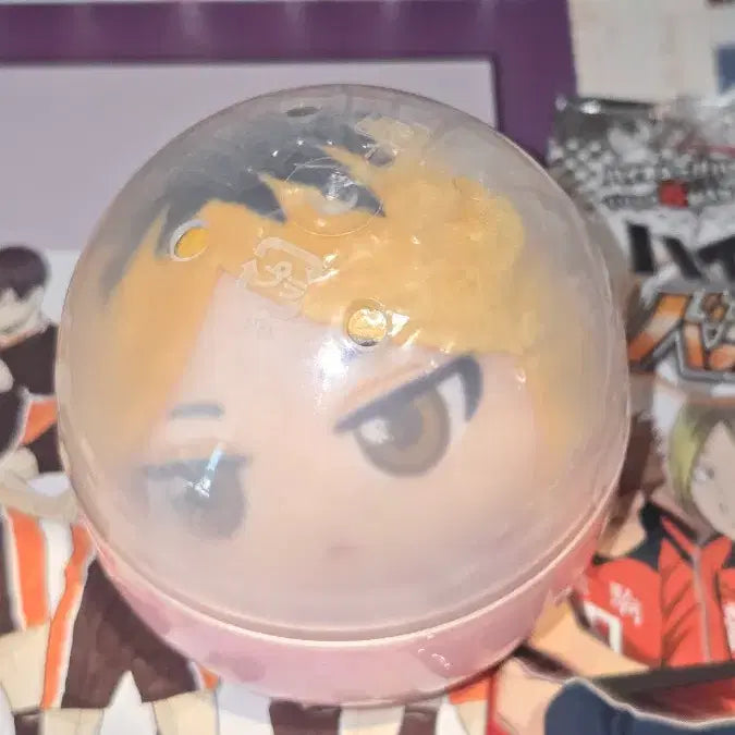 [BUNJANG] Haikyuu Kenma Nendoroid Plush / 하이큐 네코마 켄마 누이구루미 봉제인형