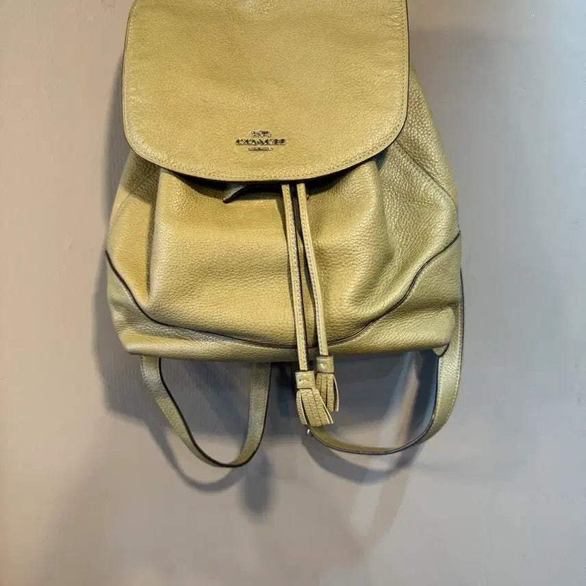 [BUNJANG] Coach Backpack / 코치 백팩