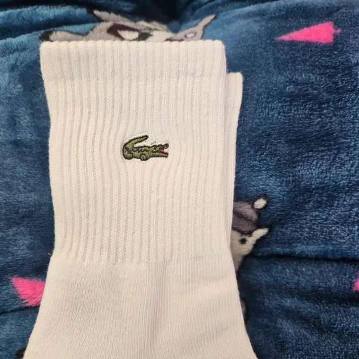 [BUNJANG] Lacoste Double Cushion Socks (5-Pack) / 라코스테  미들 이중쿠션 양말 5켤레 18,000원  무료배송