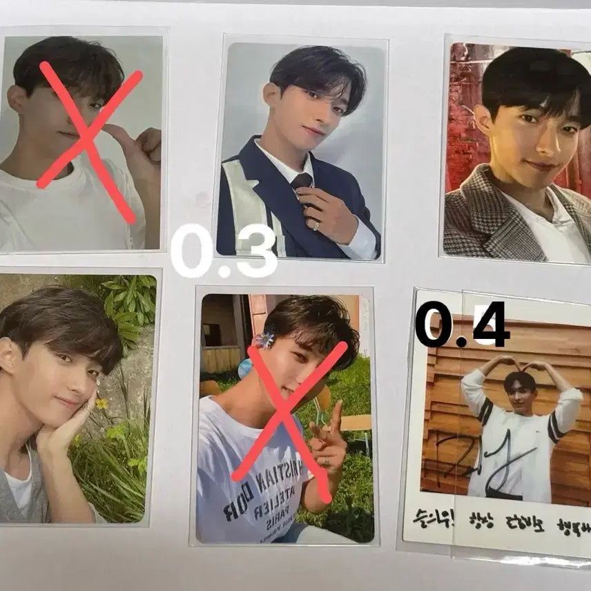 도겸 포카 폴라