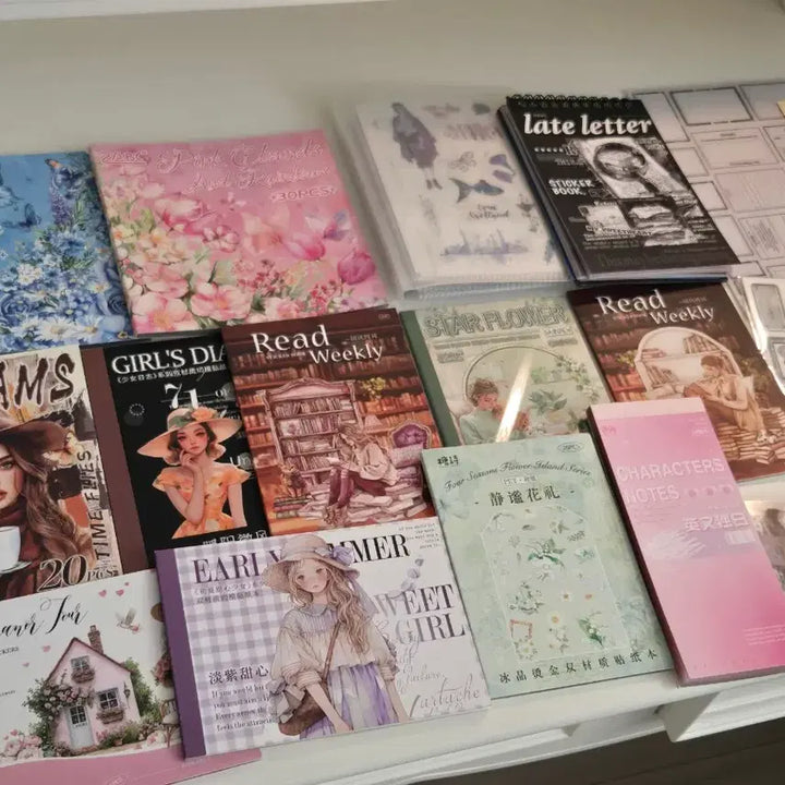 [BUNJANG] And's Note ChachNote Hwayu France Diary Storage / 빈티지 감성 다꾸 처분 유튜버 가죽 보관함 앤의노트 차차노트 화유프랑