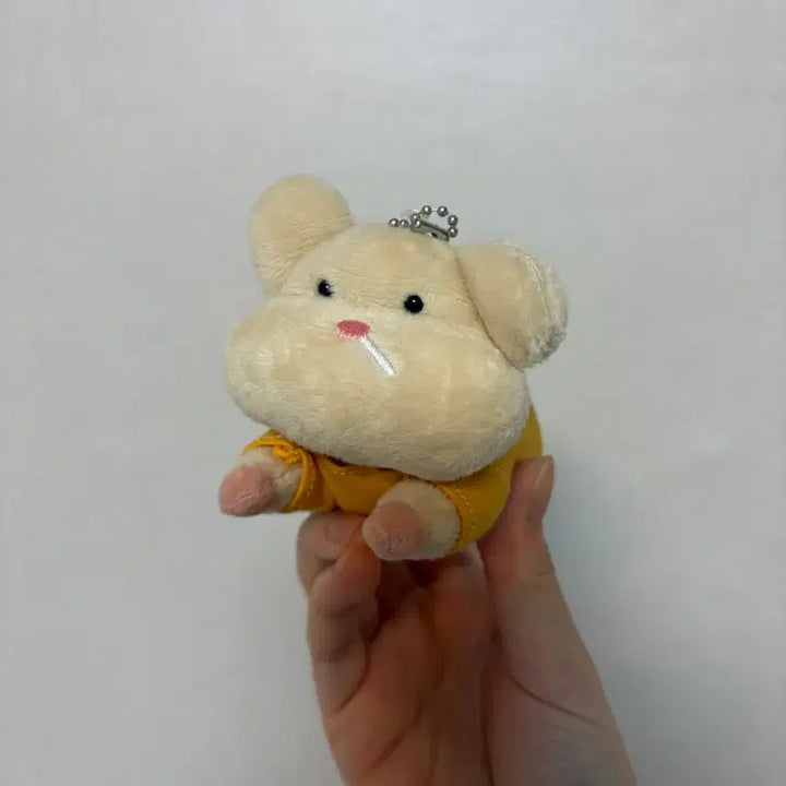 [BUNJANG] Collector MoMo Fly Hamzzi Doll / 수집가무무 날아라햄찌 인형