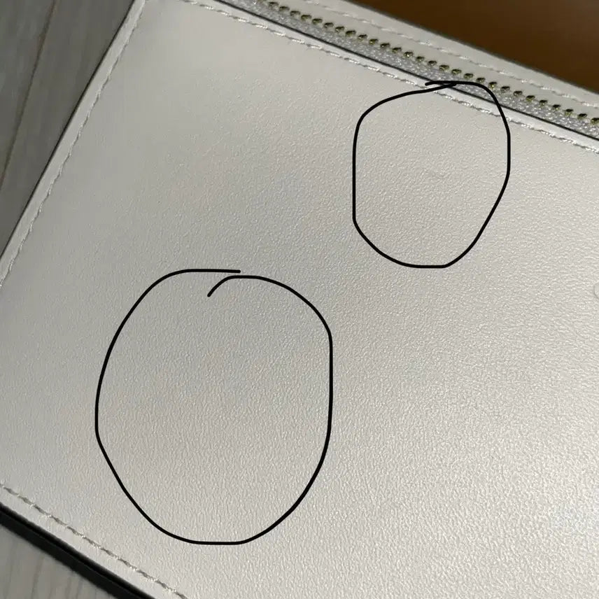 [BUNJANG] Coach Crossbody Bag / 코치 크로스백