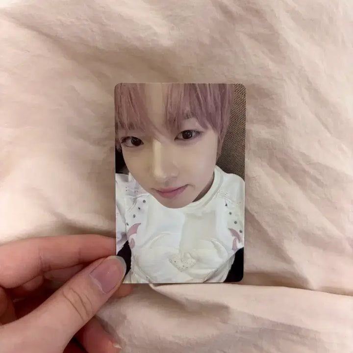 [BUNJANG] &TEAM K Sakuya Photocard / 사쿠야 컬러 포카 양도