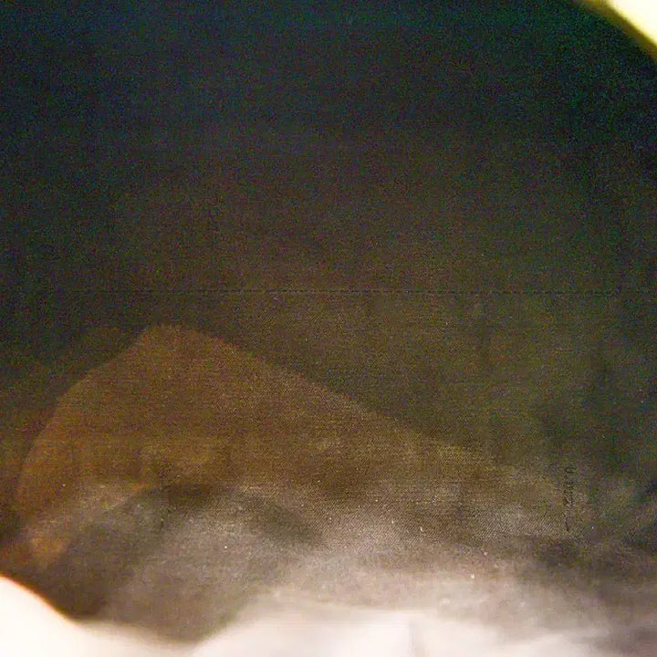 [BUNJANG] Fendi Zucca Boston Bag / 펜디 쥬카 보스턴백(정품)