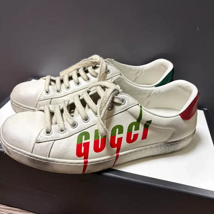 [BUNJANG] Gucci Ace Web Sneakers Vintage 260 / 구찌 에이스 웹 스니커즈 빈티지 260