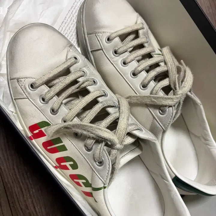[BUNJANG] Gucci Ace Web Sneakers Vintage 260 / 구찌 에이스 웹 스니커즈 빈티지 260