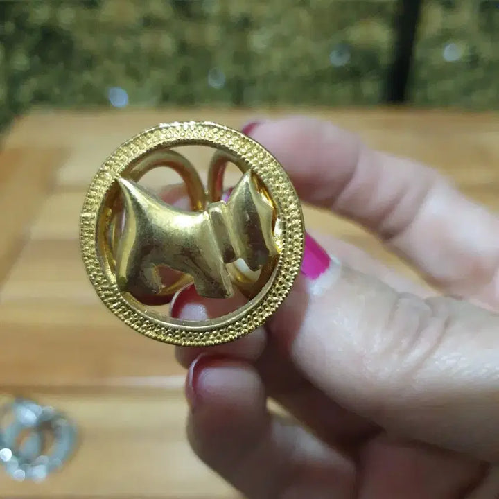 [BUNJANG] Scarf Ring Set / 스카프 고정고리 스카프링 총3개/옷고정집게세트1개 총4개