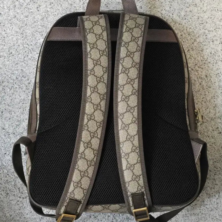 [BUNJANG] Gucci Ophidia Backpack / 구찌 오피디아 백팩