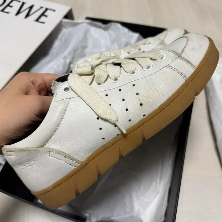 [BUNJANG] Loewe Leather Sneakers (Size 37) / 로에베 가죽 스니커즈 37