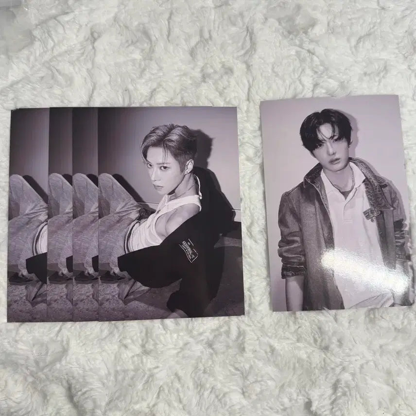 [BUNJANG] ALDEE ONE Alpha Drive 1st Album Arno Jeong Sanghyeon Item / 알디원 알파드라이브원 프릭앨범 엽서 포스터 아르노 정상현