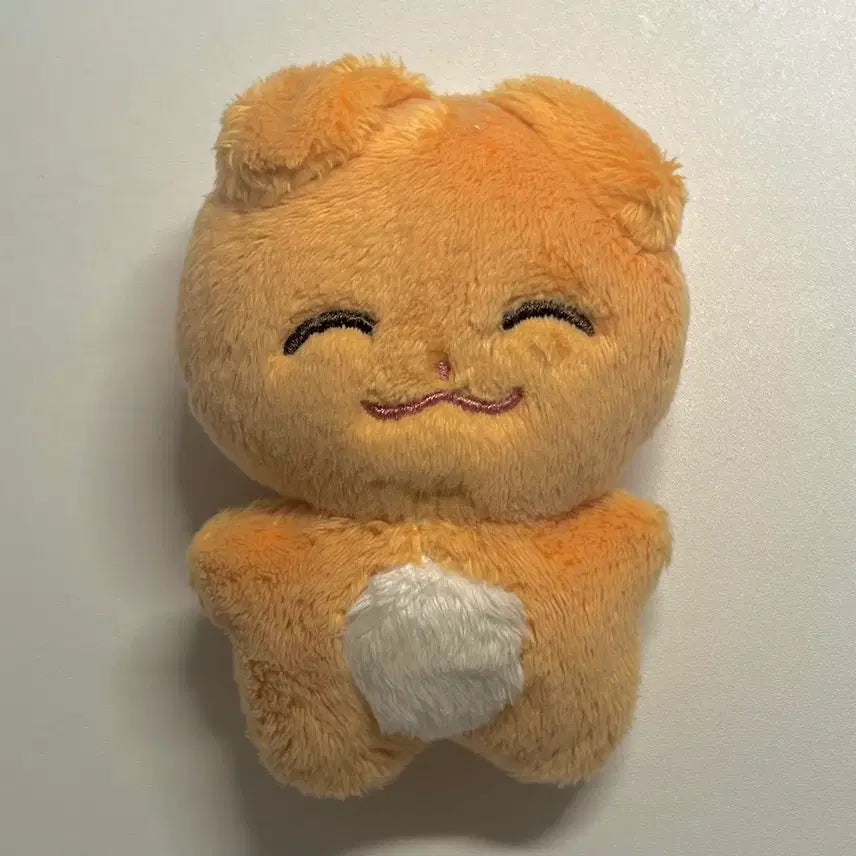 스트레이키즈 스키즈 승민 인형 10cm 댕모 양도