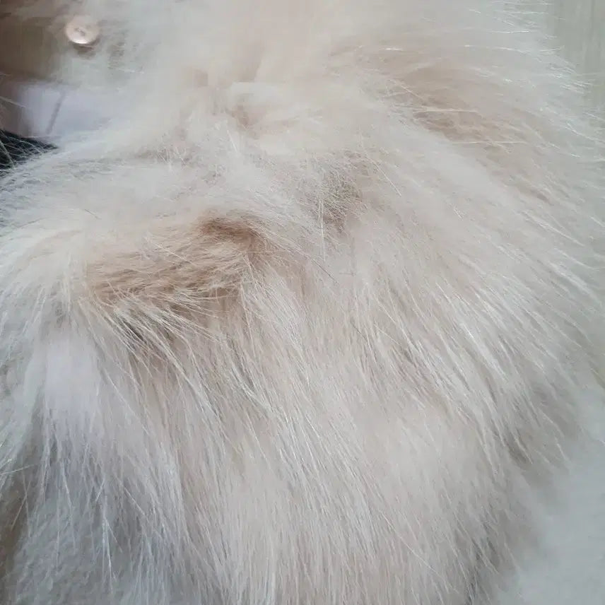 [BUNJANG] On &amp; On Fox Fur Coat Beige / On &amp; On 폭스 퍼 코트 베이지