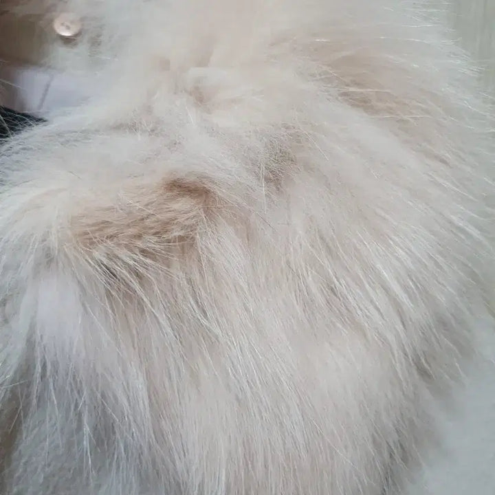 [BUNJANG] On &amp; On Fox Fur Coat Beige / On &amp; On 폭스 퍼 코트 베이지