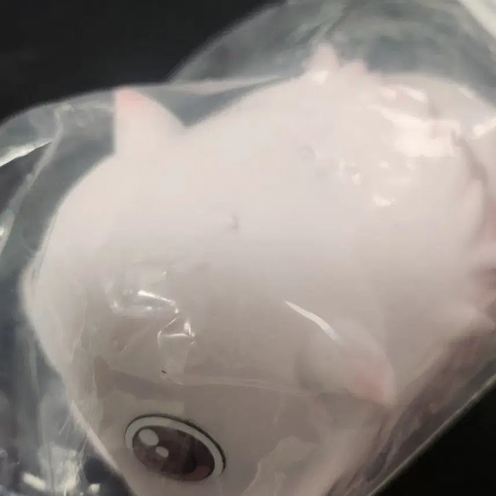 [SOLD OUT] 메이드 인 어비스 미티 피규어