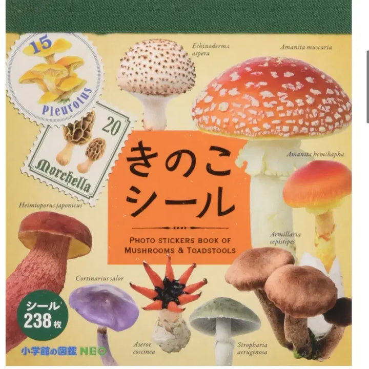 [BUNJANG] Unknown Mushroom Encyclopedia Sticker Book / 식독불명 버섯 도감 씰 스티커북 다꾸