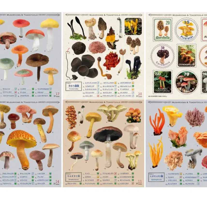 [BUNJANG] Unknown Mushroom Encyclopedia Sticker Book / 식독불명 버섯 도감 씰 스티커북 다꾸